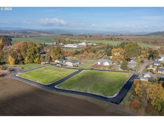 an aerial view of a residential houses with outdoor space