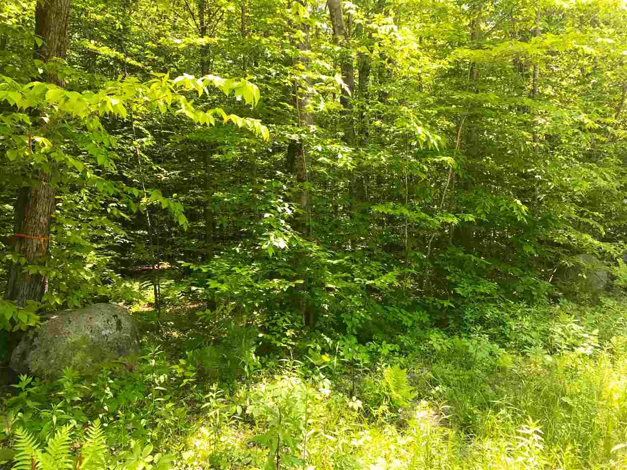 Stockbridge Corner Road, Unit 6423 Alton, NH 03809 - Photo 3 of 4