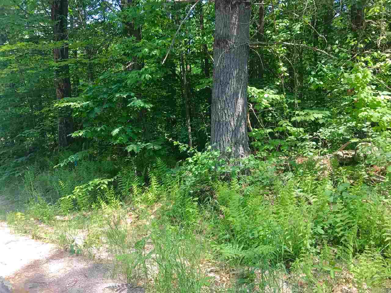Stockbridge Corner Road, Unit 6423 Alton, NH 03809 - Photo 4 of 4