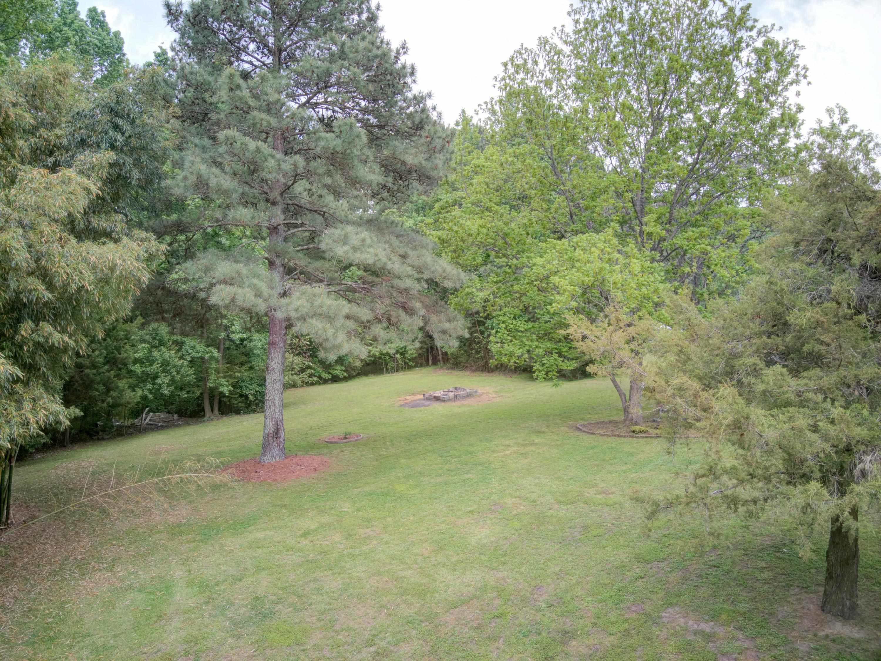 8091 Mt Pleasant Church Road Willow Spring, NC 27592 - Photo 76 of 78 Photo 76