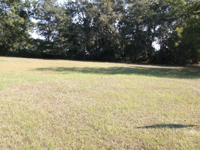 0 Northeast Springfield Lane Dothan, AL 36303 - Photo 1 of 1