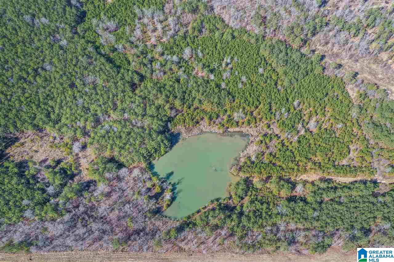 0 Barron Street Steele, AL 35987 - Photo 4 of 14