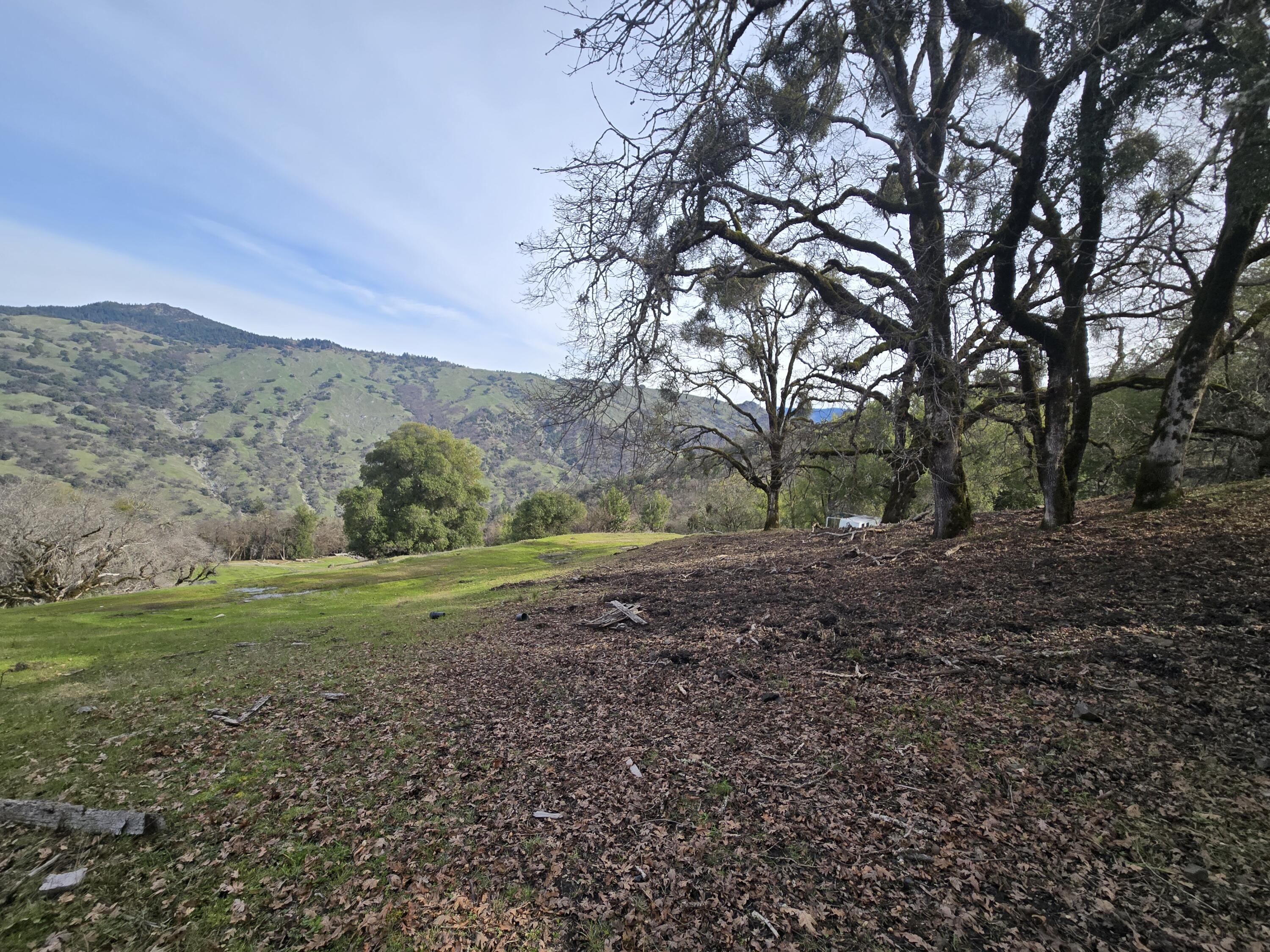 3461 Raff Crk Road Garberville, CA 95542 - Photo 28 of 32