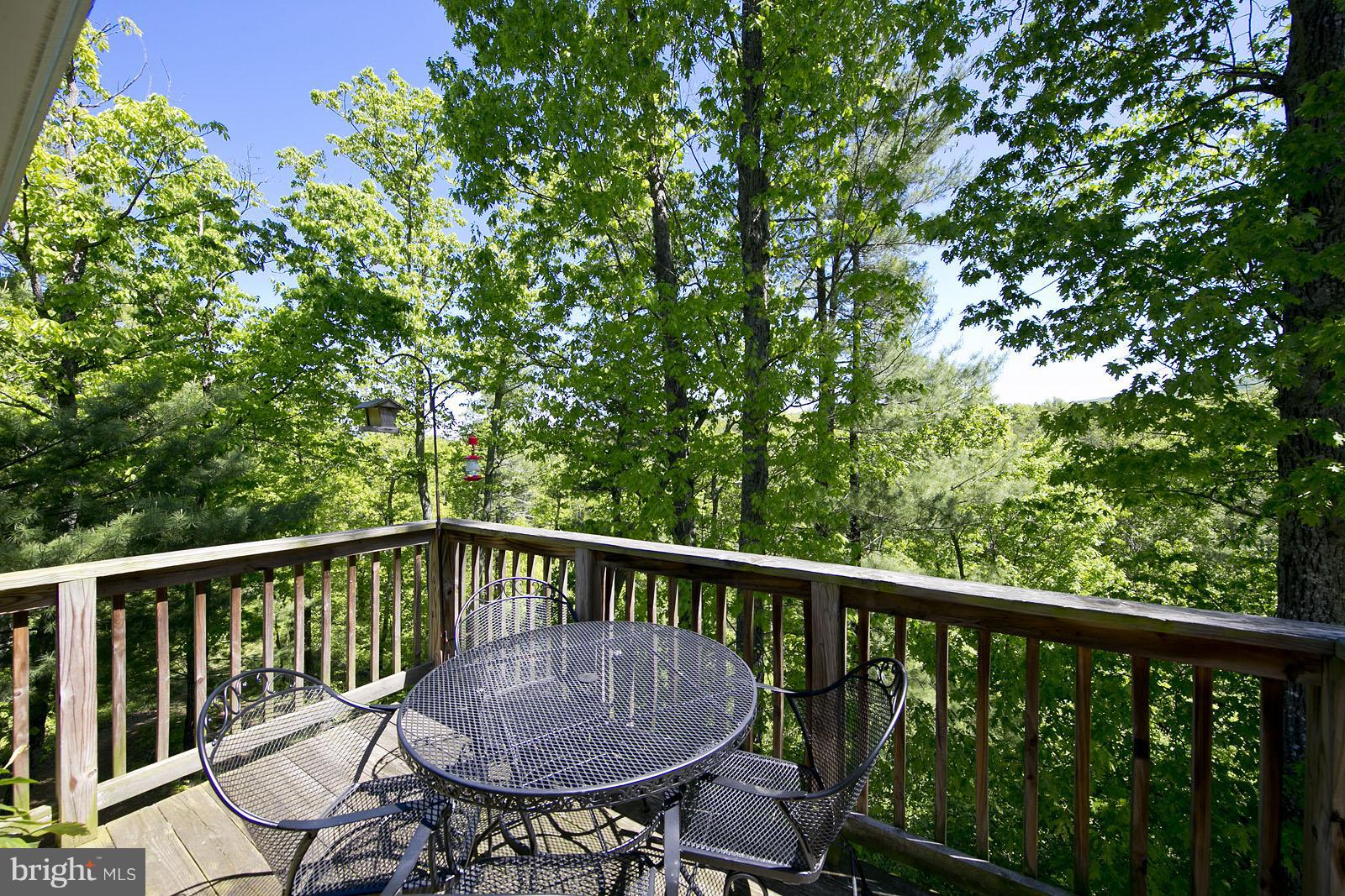 2916 Buck Hill Road Gerrardstown, WV 25420 - Photo 23 of 30 View