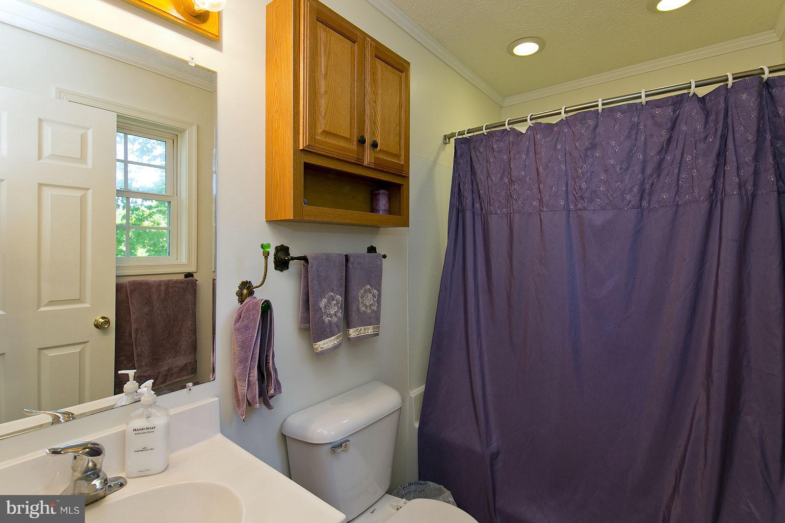 2916 Buck Hill Road Gerrardstown, WV 25420 - Photo 24 of 30 Bath (Master)