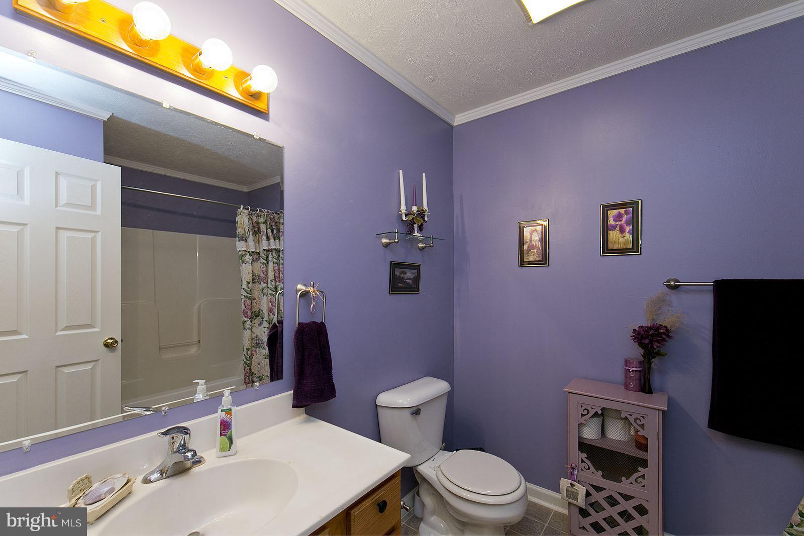 2916 Buck Hill Road Gerrardstown, WV 25420 - Photo 25 of 30 Bath