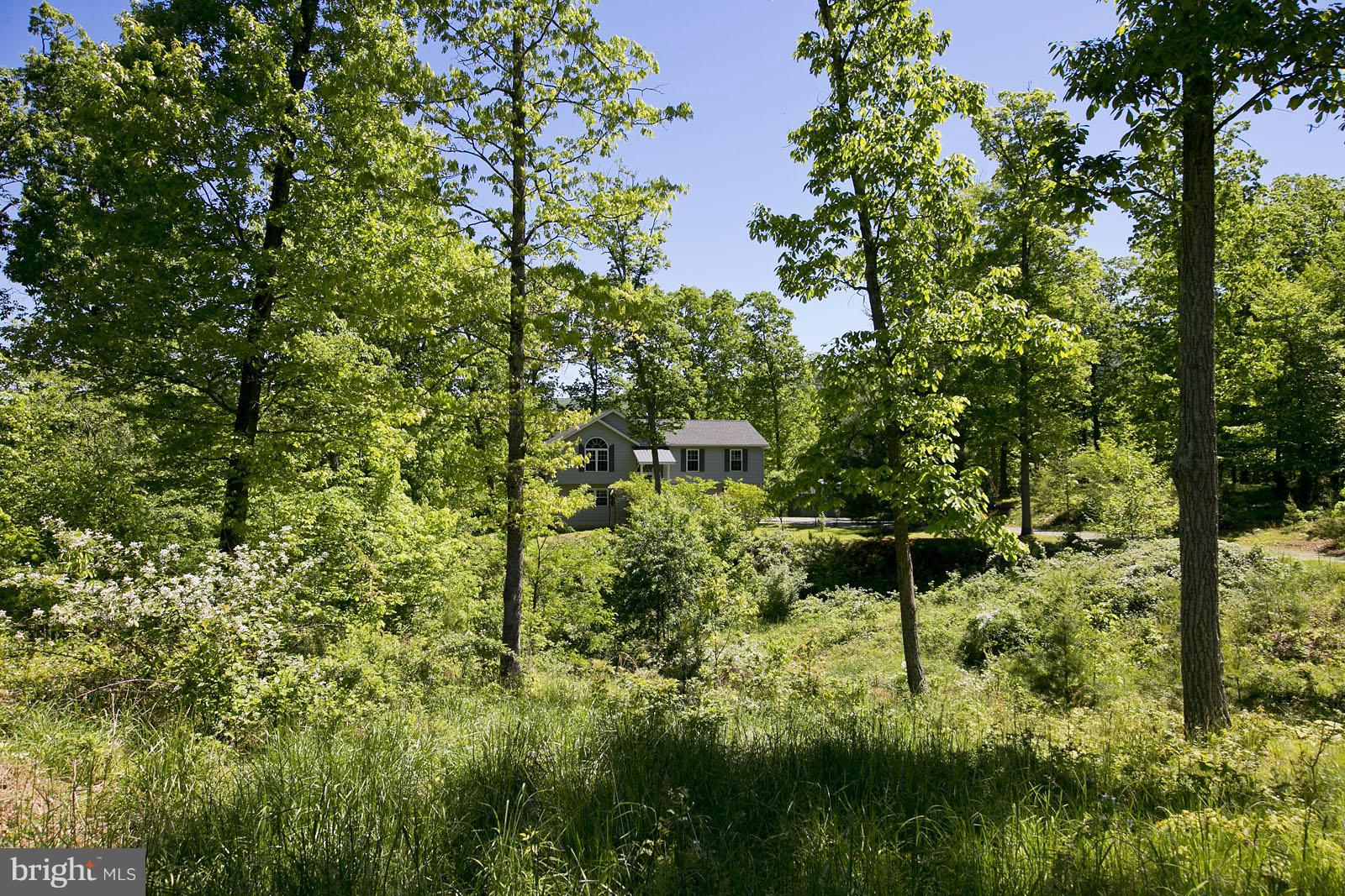 2916 Buck Hill Road Gerrardstown, WV 25420 - Photo 30 of 30 View