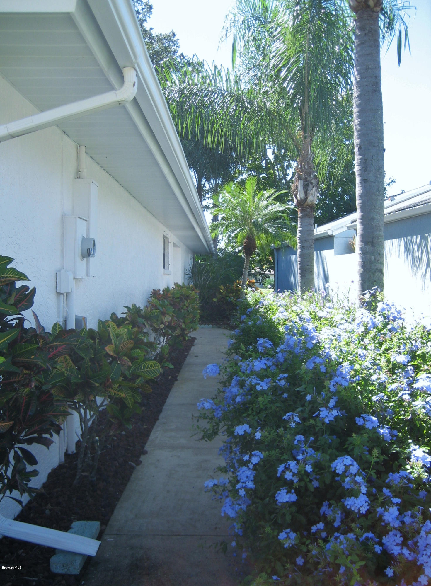337 Myrtlewood Road Melbourne, FL 32940 - Photo 4 of 21 IMG_5712