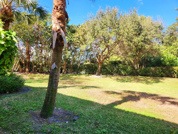 a view of an outdoor space and a yard