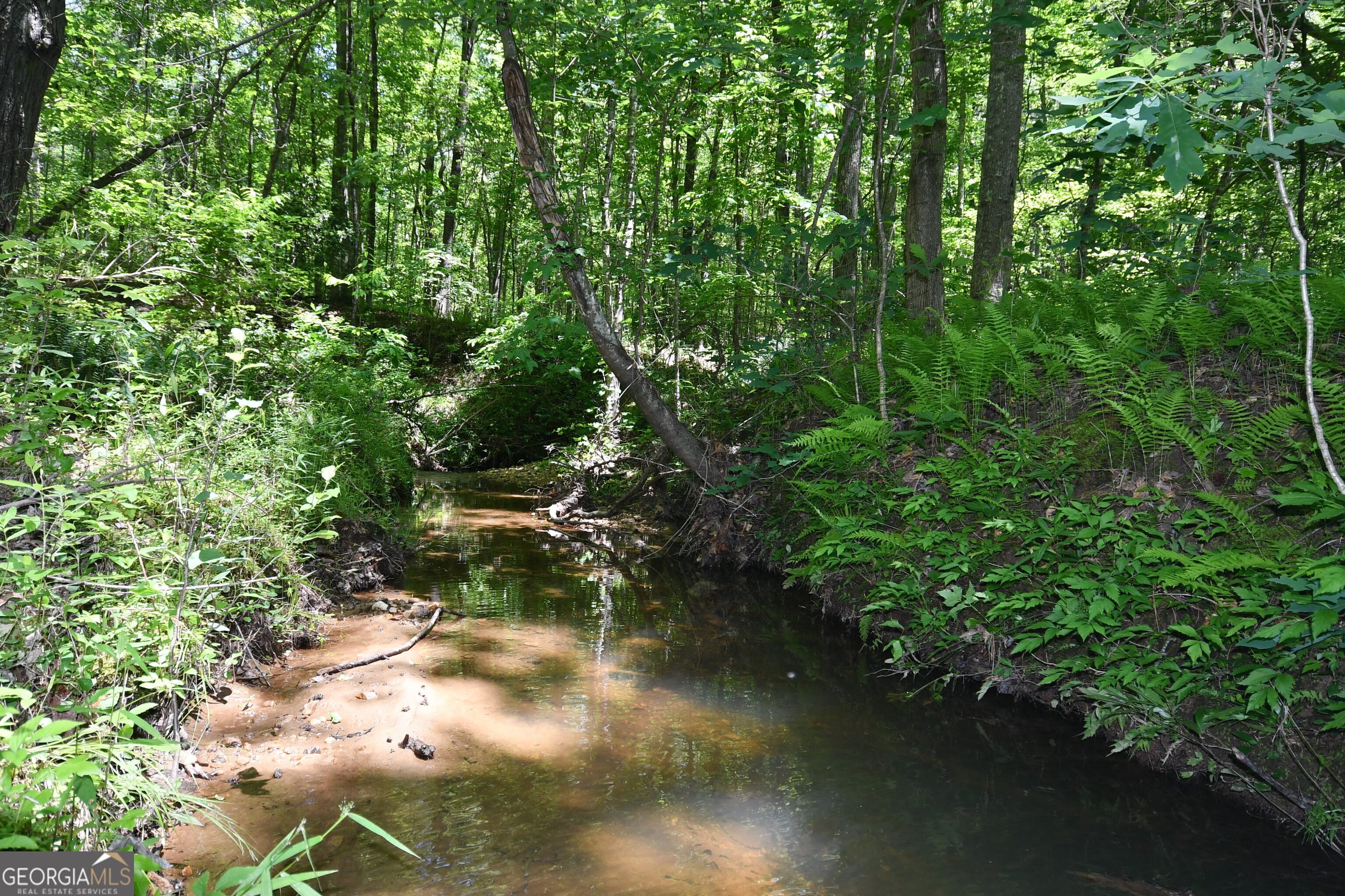 1933 Highway 101 Dallas, GA 30157 - Photo 36 of 40 Nice stream cutting through rear of the property