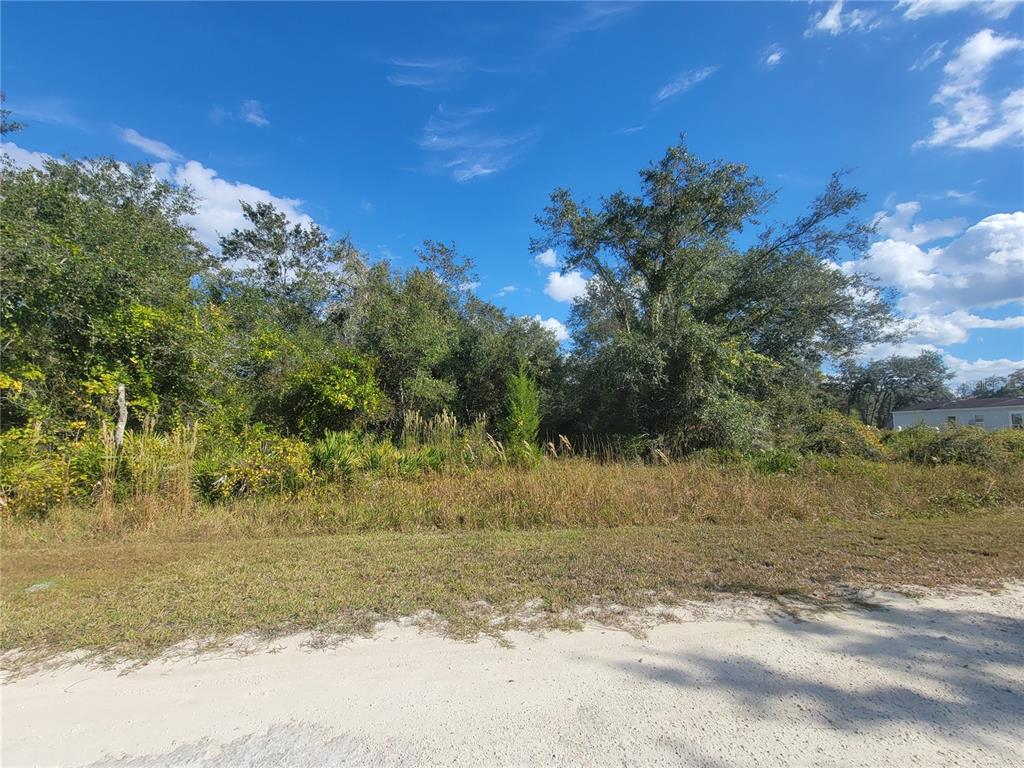 9460 Rousseau Street Webster, FL 33597 - Photo 2 of 4 a view of a yard with a tree