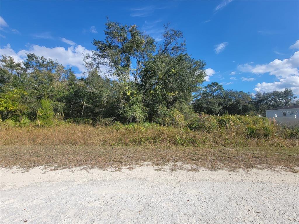 9460 Rousseau Street Webster, FL 33597 - Photo 3 of 4 a view of a yard with a tree