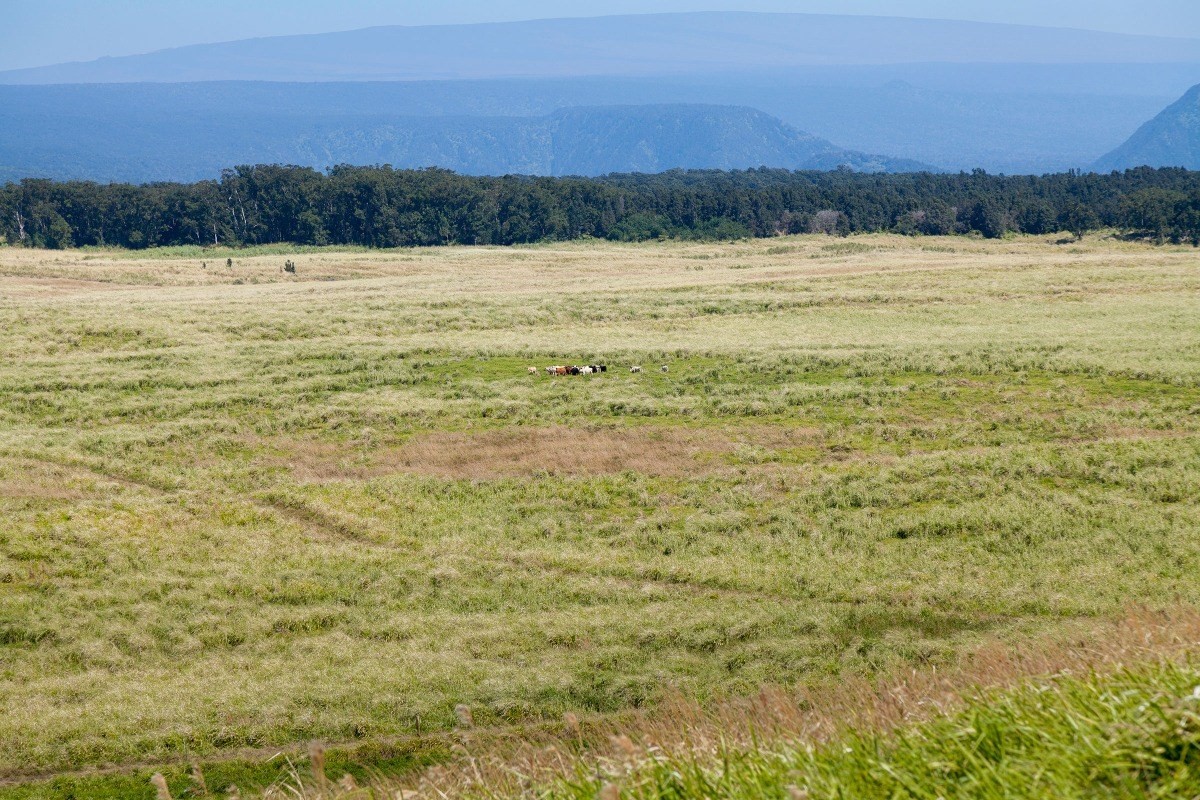Mountain House Road Naalehu, HI 96772 - Photo 13 of 13 a view of an ocean