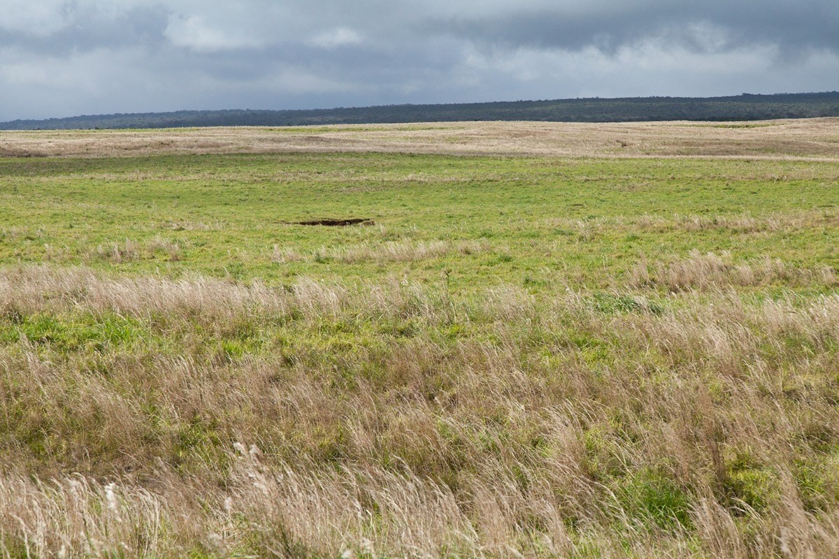 Mountain House Road Naalehu, HI 96772 - Photo 2 of 13 a view of an ocean