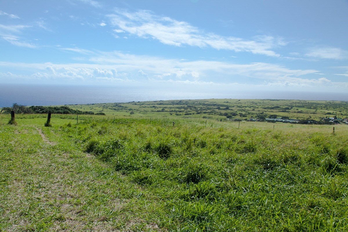 Mountain House Road Naalehu, HI 96772 - Photo 5 of 13 a view of a green field with lots of green space