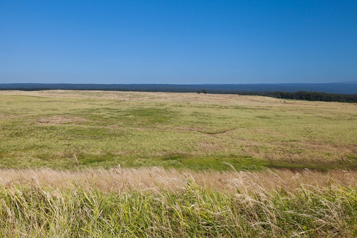 Mountain House Road Naalehu, HI 96772 - Photo 6 of 13 a view of an ocean