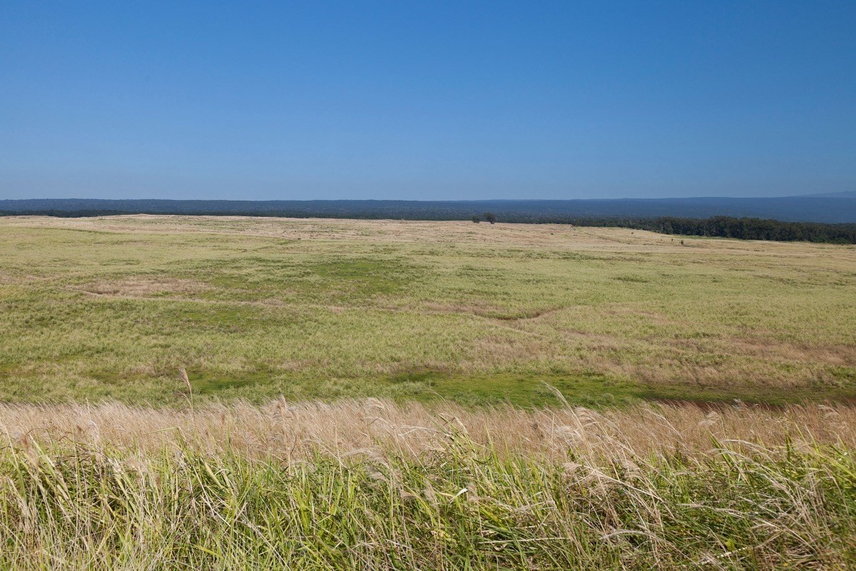 Mountain House Road Naalehu, HI 96772 - Photo 9 of 13 a view of an ocean