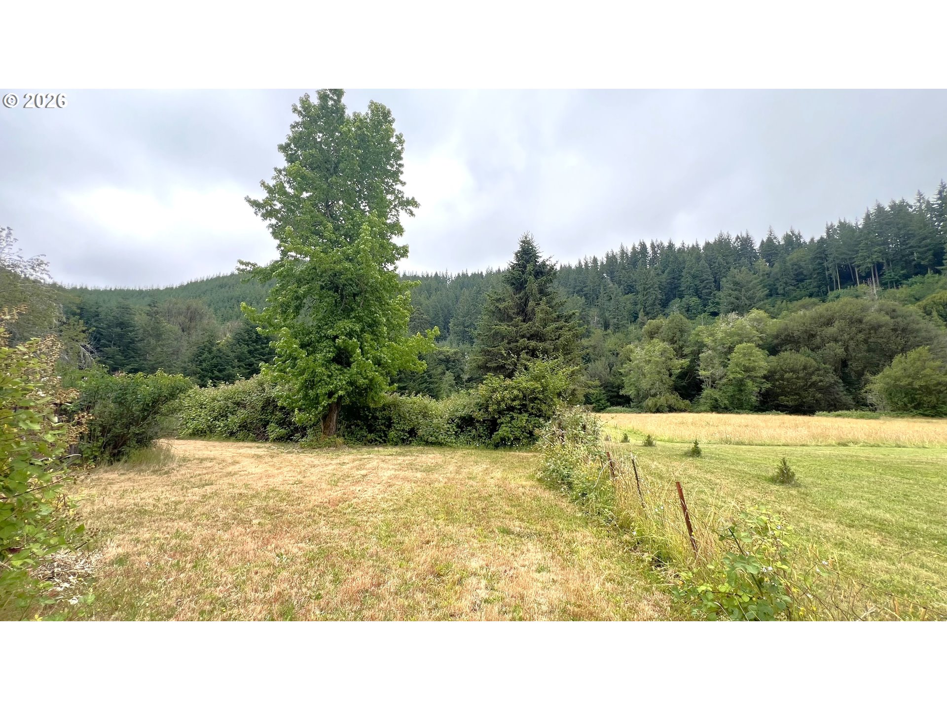 10082 Lone Pine Lane Myrtle Point, OR 97458 - Photo 6 of 19