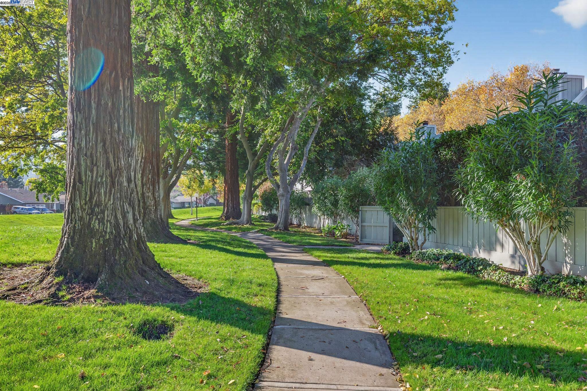 7210 Valley View Court Pleasanton, CA 94588 - Photo 36 of 44 a view of a backyard with large trees