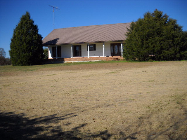 Main View