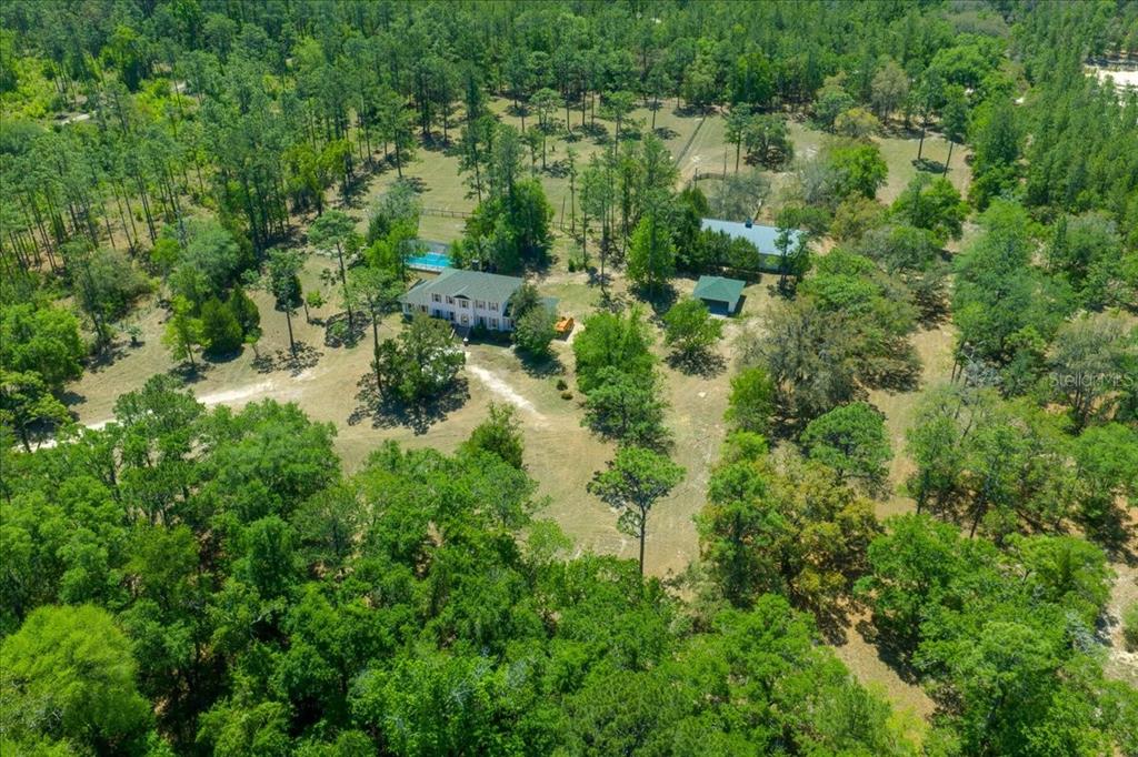 7808 Northeast 75th Street Gainesville, FL 32609 - Photo 70 of 78 a view of a forest with a street