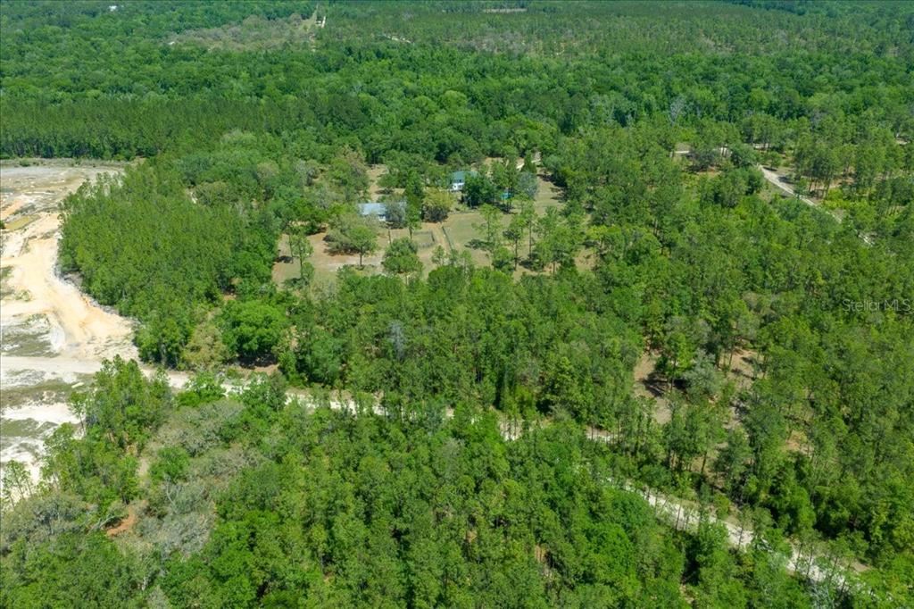 7808 Northeast 75th Street Gainesville, FL 32609 - Photo 74 of 78 a view of a lush green forest with lots of trees