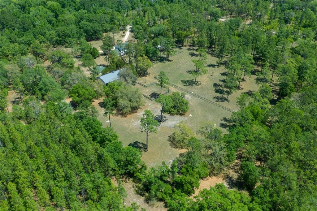 7808 Northeast 75th Street Gainesville, FL 32609 - Photo 76 of 78 an aerial view of residential house with outdoor space and trees all around