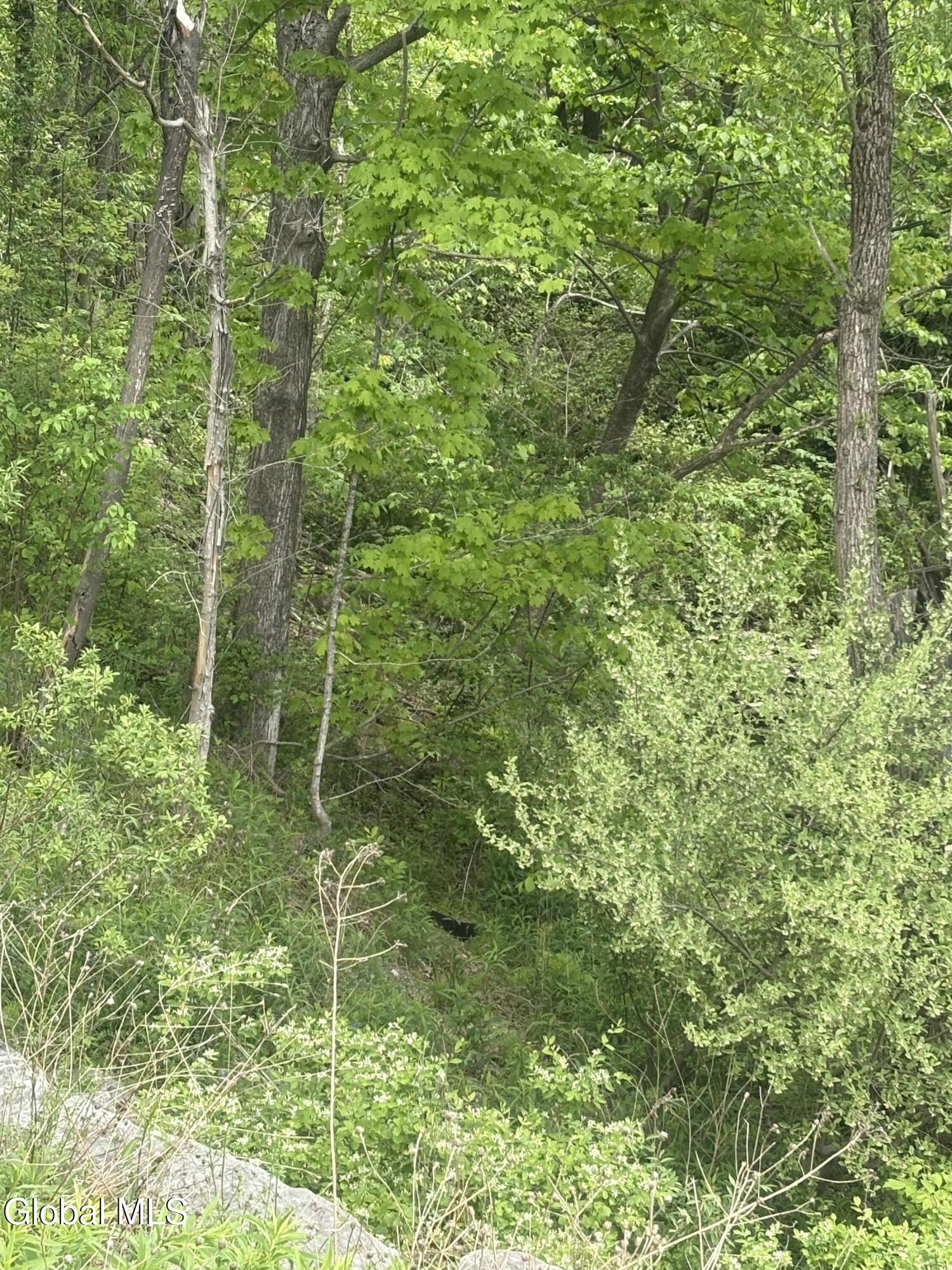 1 Mariaville Road Pattersonville, NY 12137 - Photo 12 of 25 IMG_3944