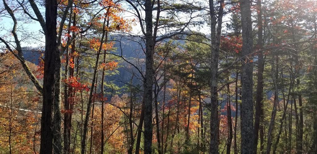 0 Happy Hollow Road Sevierville, TN 37862 - Photo 1 of 9