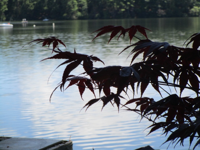 120 Barton Road Stow, MA 01775 - Photo 13 of 40