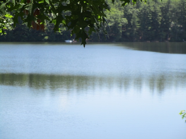 120 Barton Road Stow, MA 01775 - Photo 4 of 40