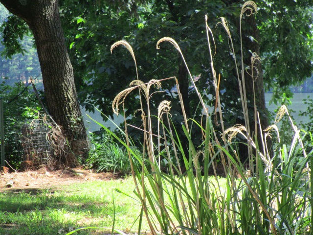 120 Barton Road Stow, MA 01775 - Photo 7 of 40