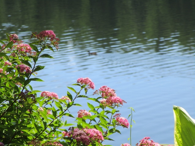 120 Barton Road Stow, MA 01775 - Photo 10 of 40