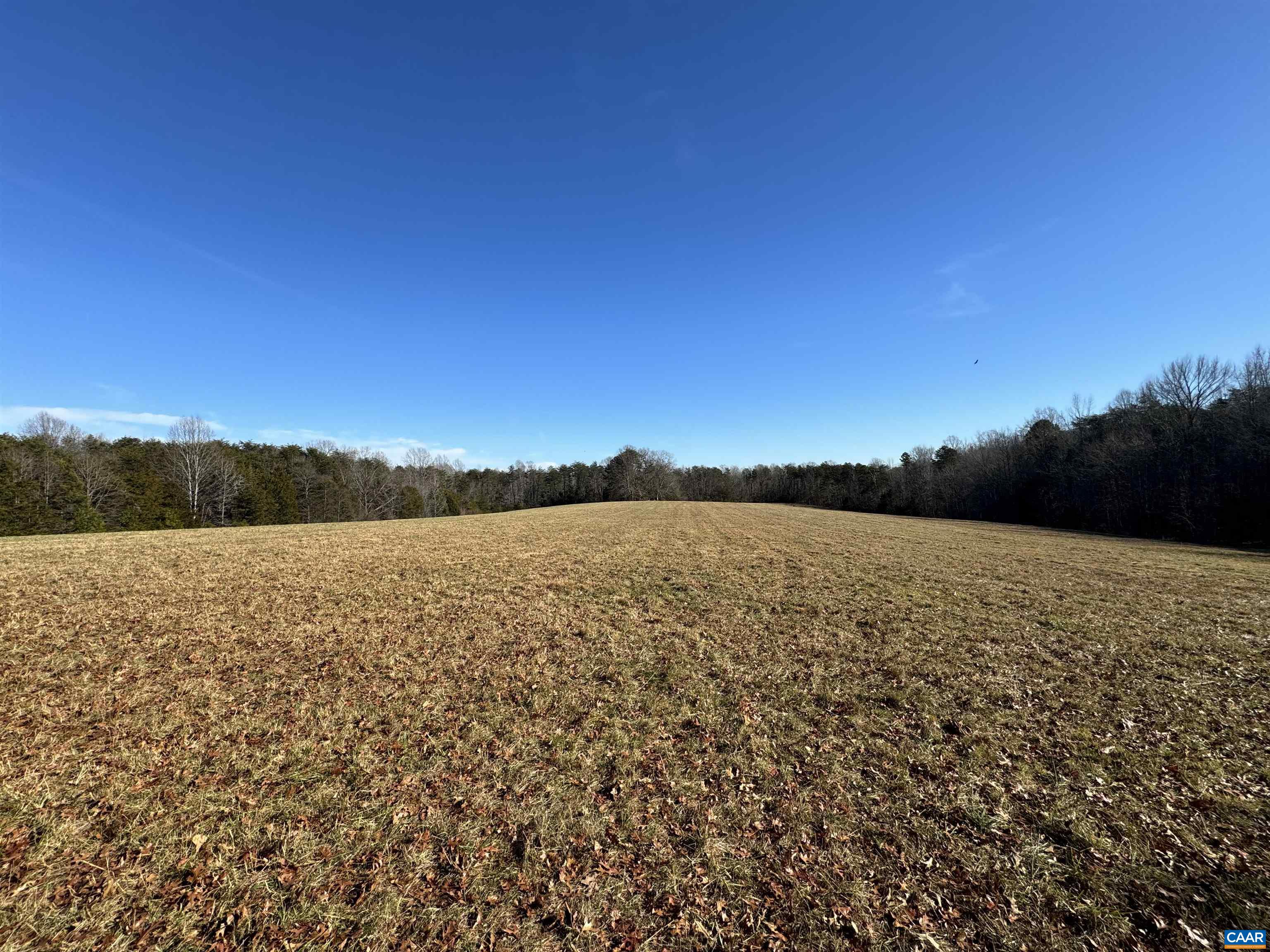 255 Nahor Manor Road Palmyra, VA 22963 - Photo 22 of 33 Gallery Image 22