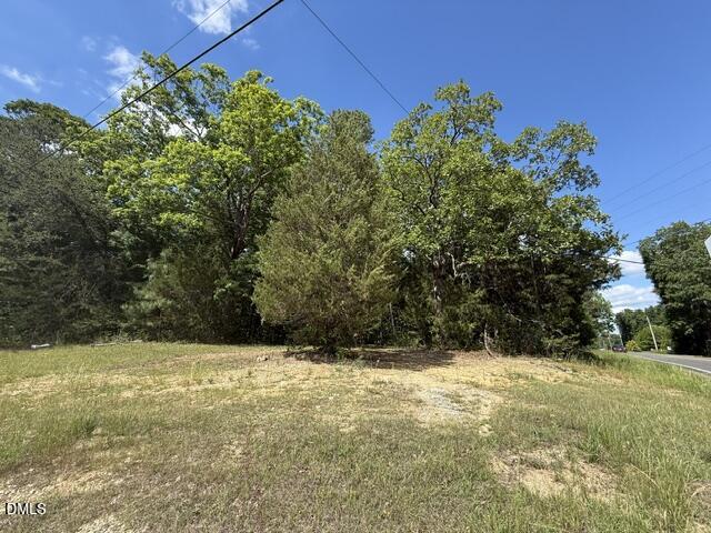 3415 Mt Willing Road Efland, NC 27243 - Photo 34 of 36