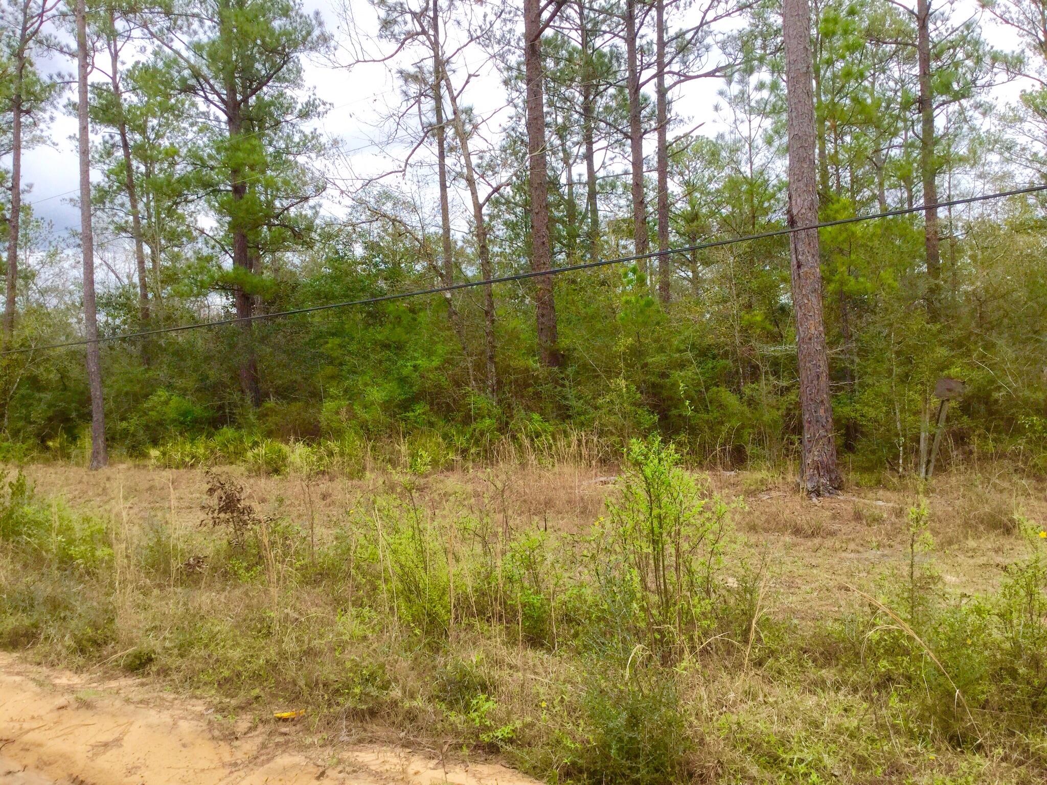 6228 Turkey Track Street Crestview, FL 32539 - Photo 1 of 2 Gallery Image 1