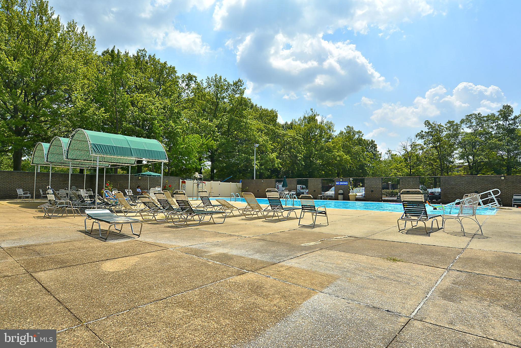 1301 Delaware Avenue Southwest Washington, DC 20024 - Photo 47 of 73 Sunny poolside retreat surrounded by greenery.