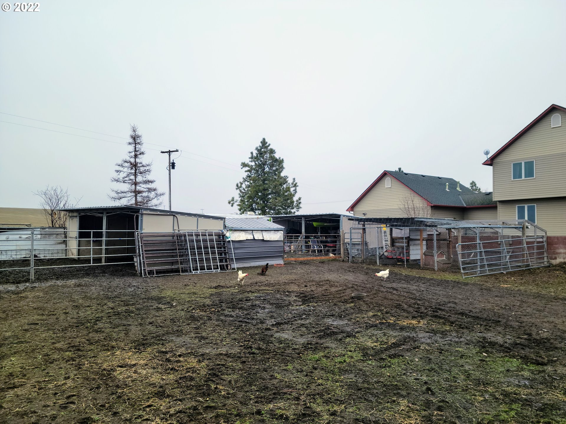 48903 Cayuse Road Pendleton, OR 97801 - Photo 11 of 32 a view of a house with a yard