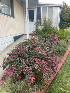 $195,000 | 314 Janero Place, Sonoma, CA 95476