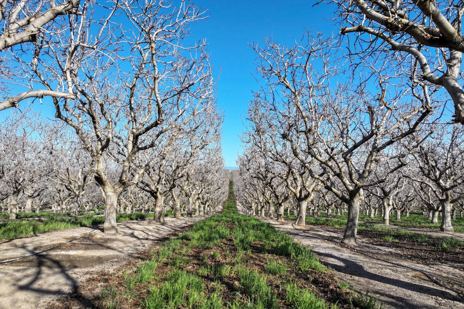 0 Quality Road Bakersfield, CA 93308 - Photo 2 of 12 Gallery Image 2