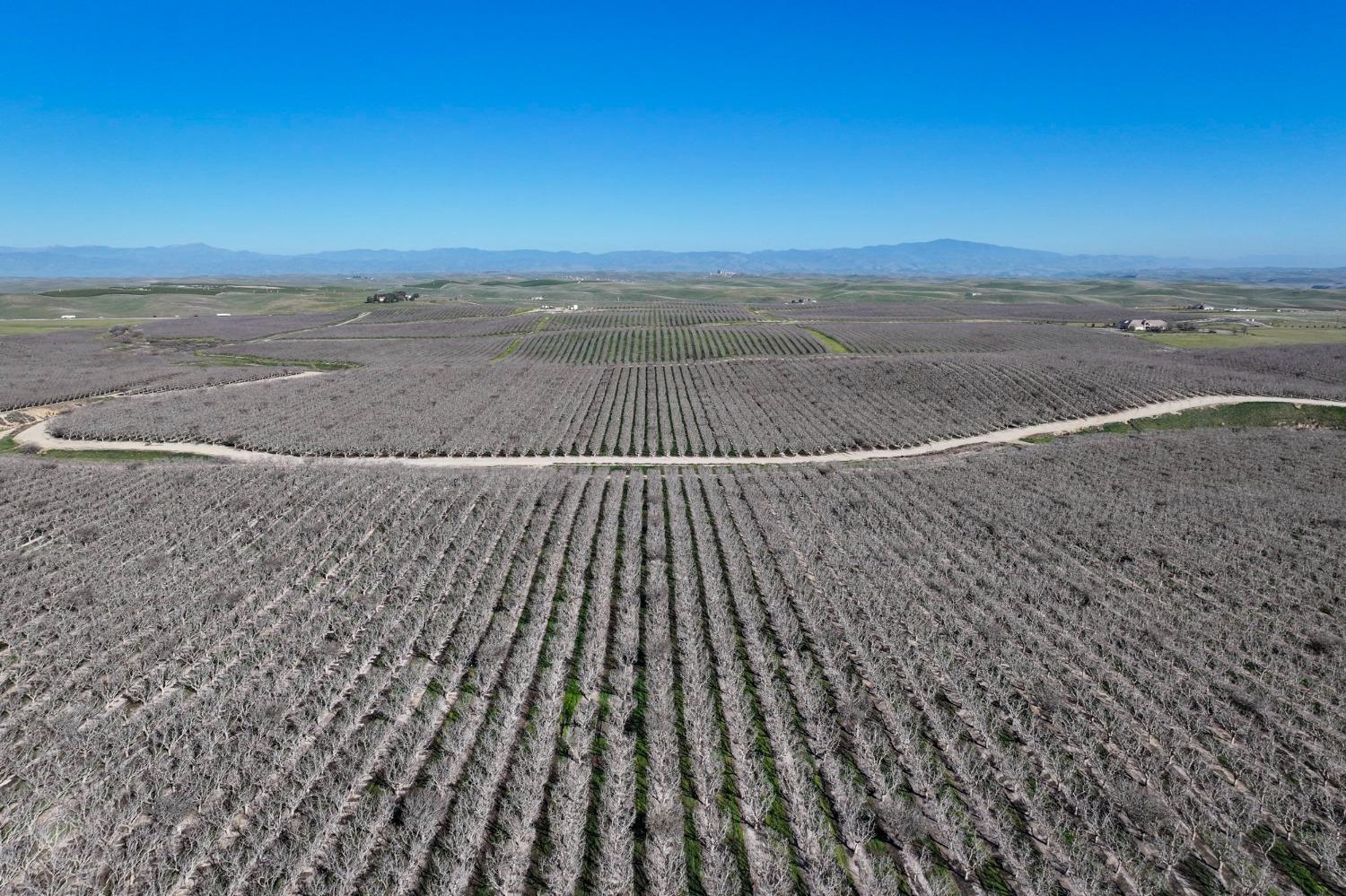 0 Quality Road Bakersfield, CA 93308 - Photo 3 of 12 Gallery Image 3