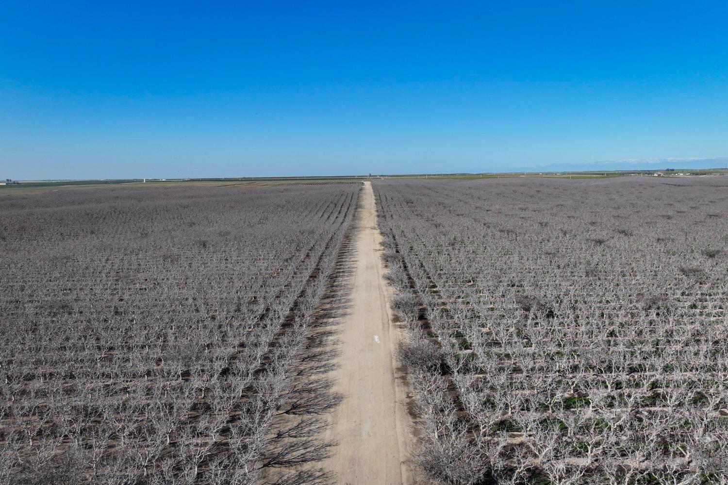0 Quality Road Bakersfield, CA 93308 - Photo 8 of 12 Gallery Image 8