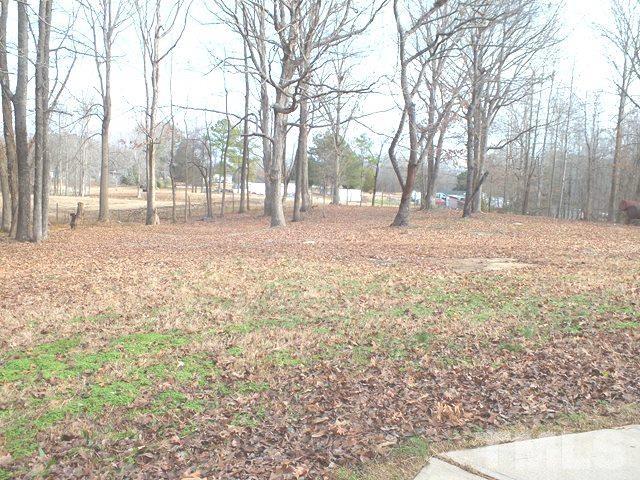 332 Old Halifax Road Louisburg, NC 27549 - Photo 25 of 32 Gallery Image 25