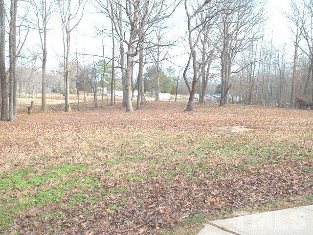 332 Old Halifax Road Louisburg, NC 27549 - Photo 4 of 32 Gallery Image 4