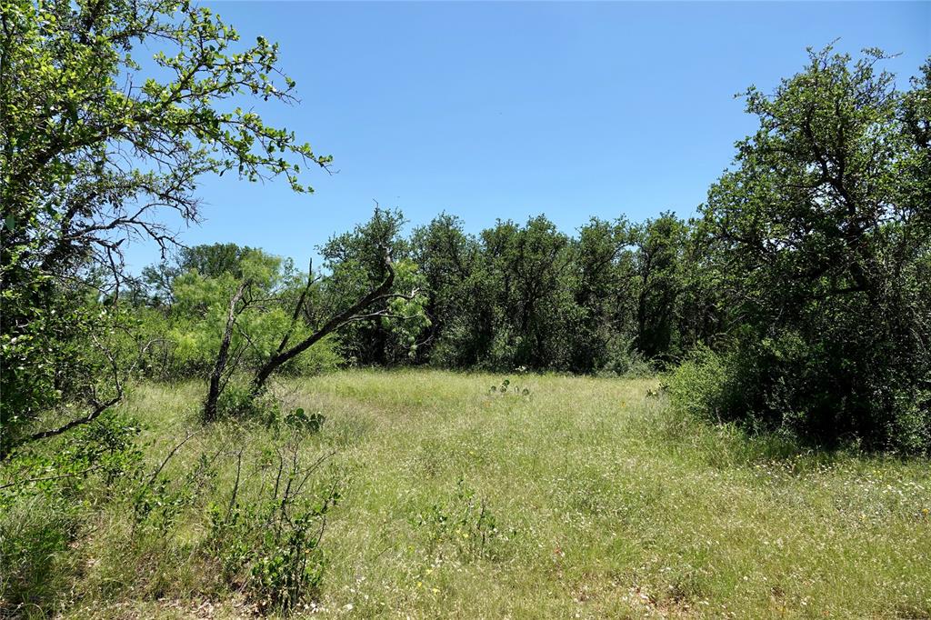 219 C R 550 Mullin, TX 76864 - Photo 14 of 37 a view of a yard with a tree