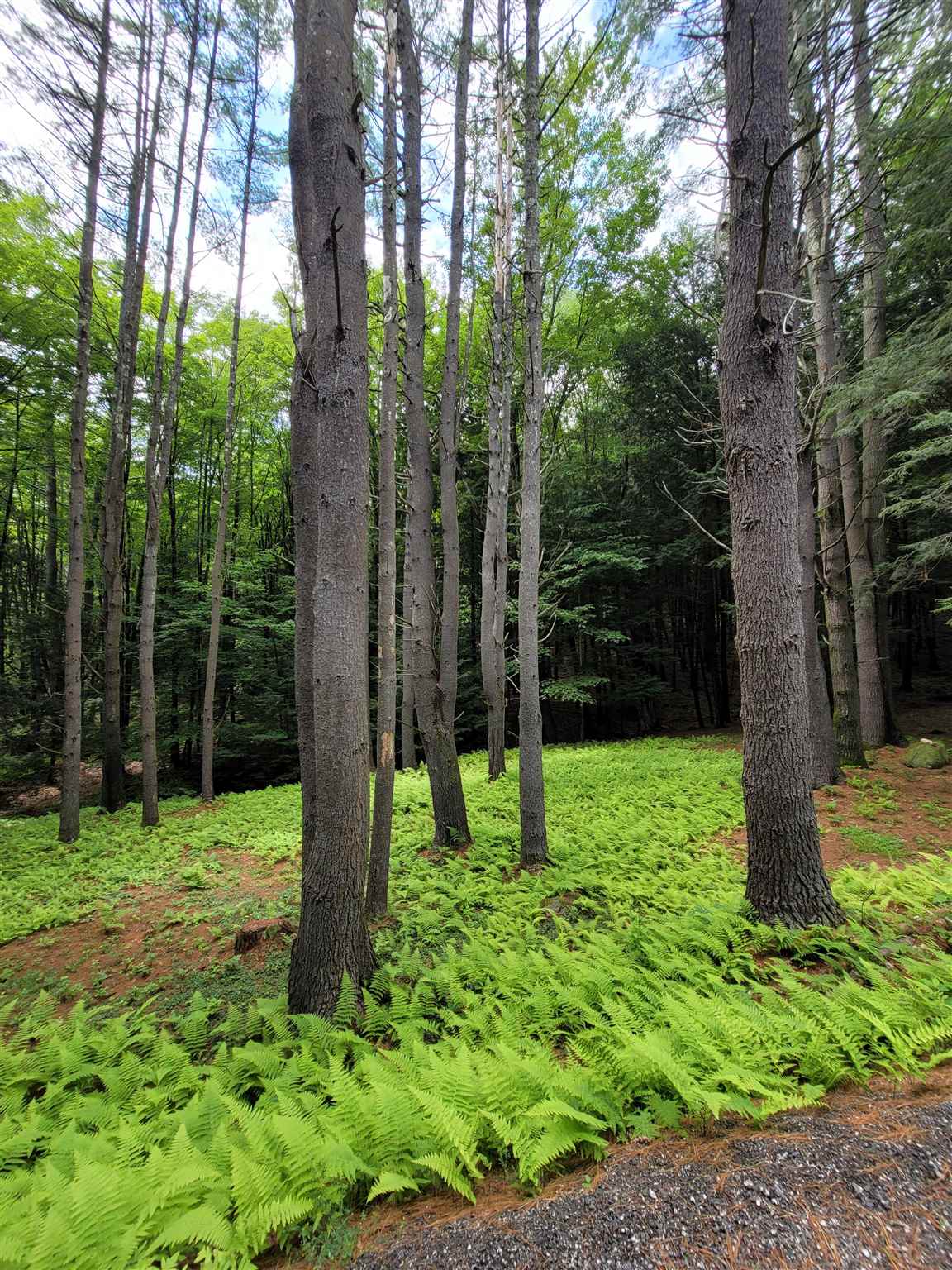260 Mandigo Road Rockingham, VT 05143 - Photo 22 of 22