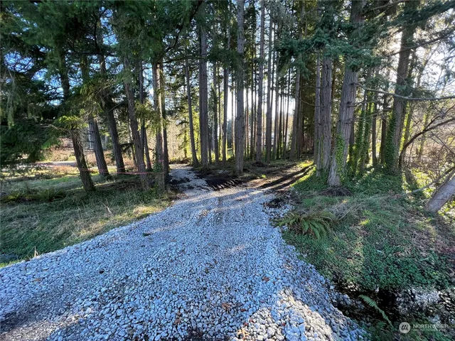 a view of outdoor space with trees all around