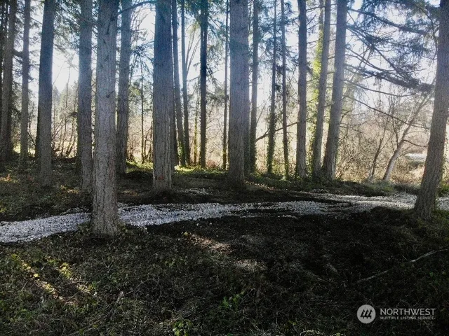 a view of a back yard