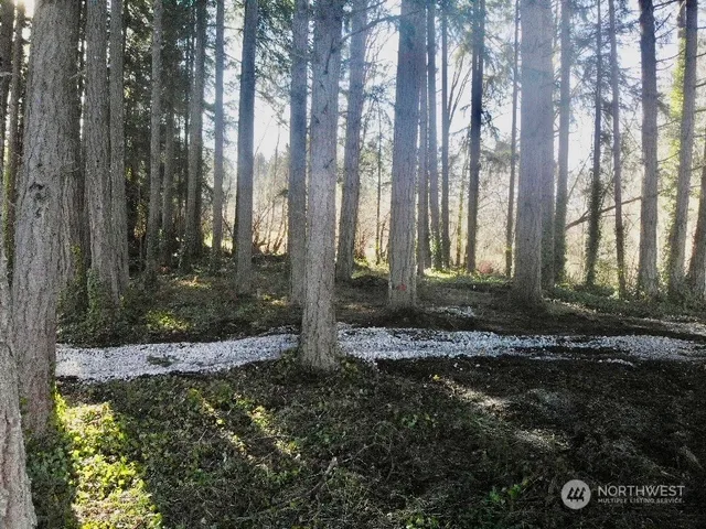 a view of a house with large trees and a yard