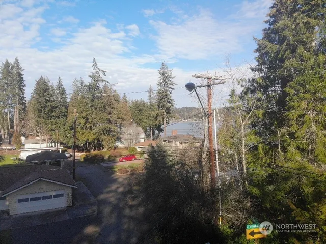 a view of a yard with trees